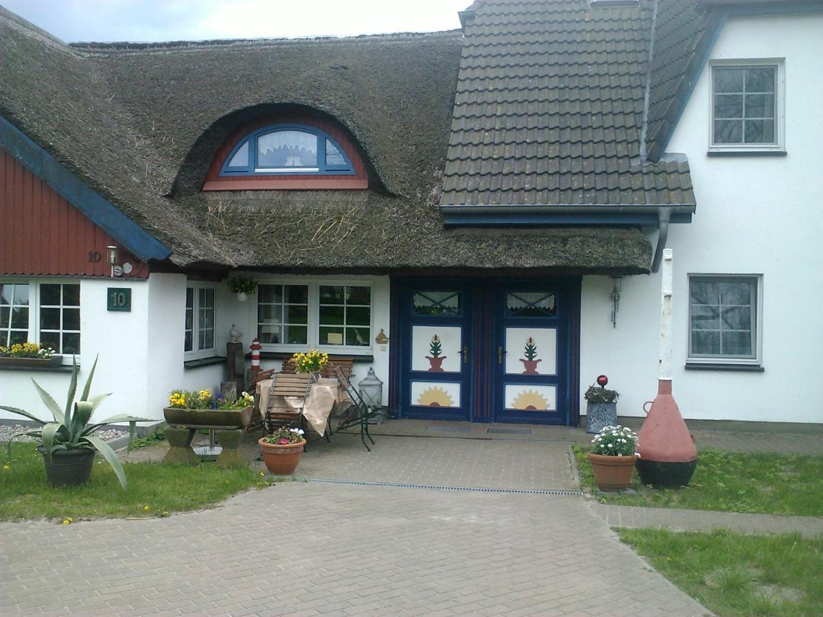 Pension Martens - Gaubenwohnung Wieck Extérieur photo